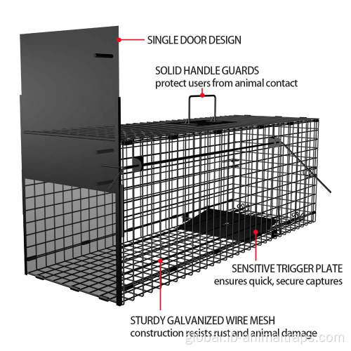 Live Animal Cage Trap Humane Live Animal Trap Catch Release Cage Factory